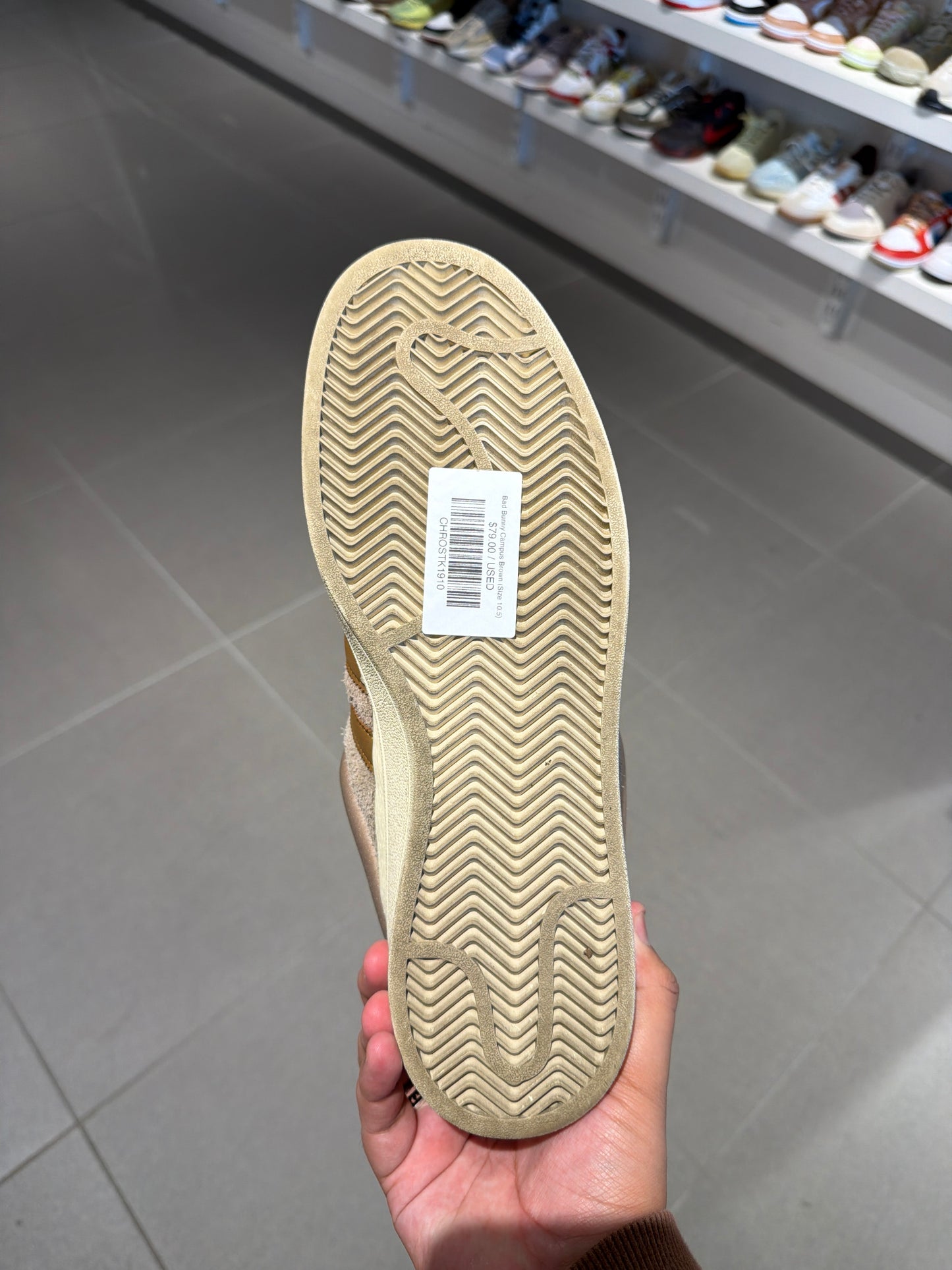 Bad Bunny Campus Brown (Size 10.5)