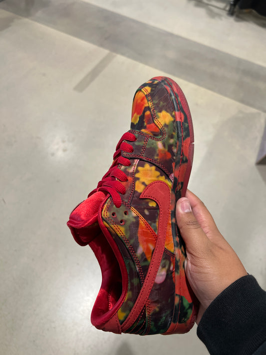 Wizard Of Oz SB (Size 10.5)