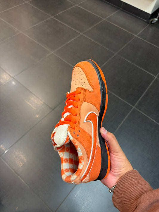 Orange Lobster SB (Size 9)
