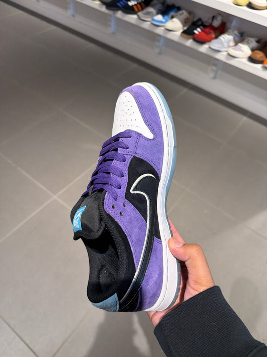 Hayley Wilson SB Dunk (Size 8.5)