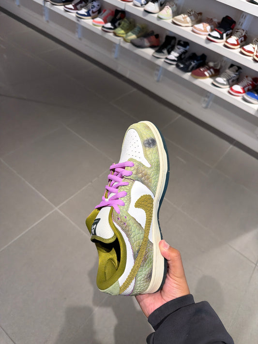 Chameleon SB Dunk (Size 10.5)