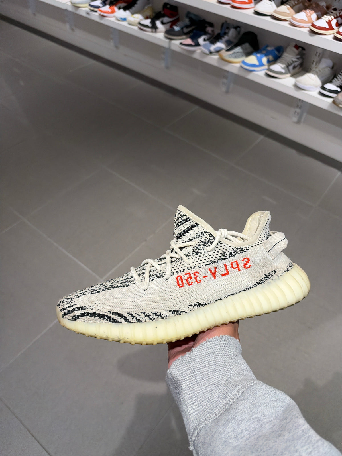 Yzy 350 Zebra (Size 12)
