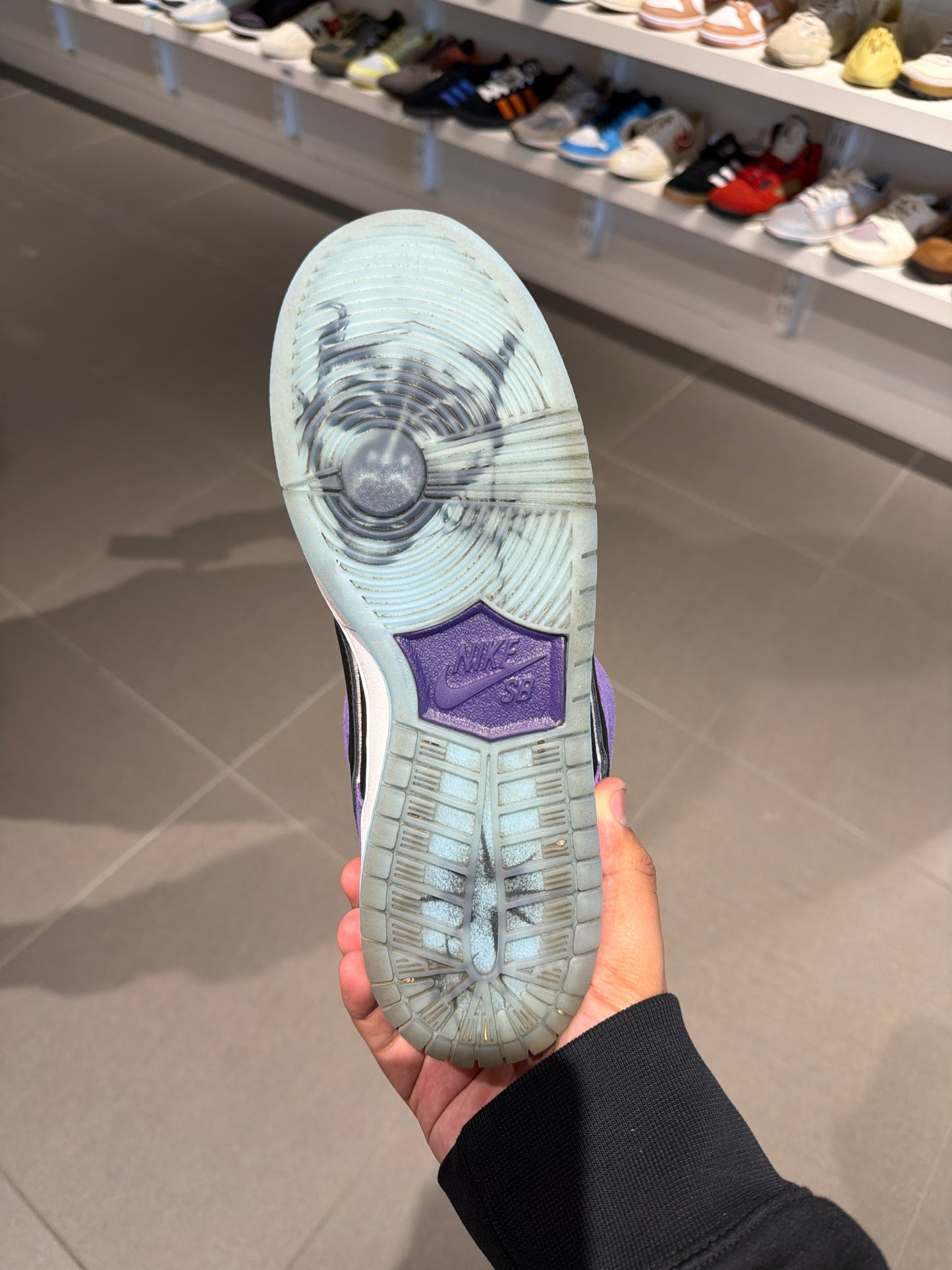 Hayley Wilson SB Dunk (Size 8.5)