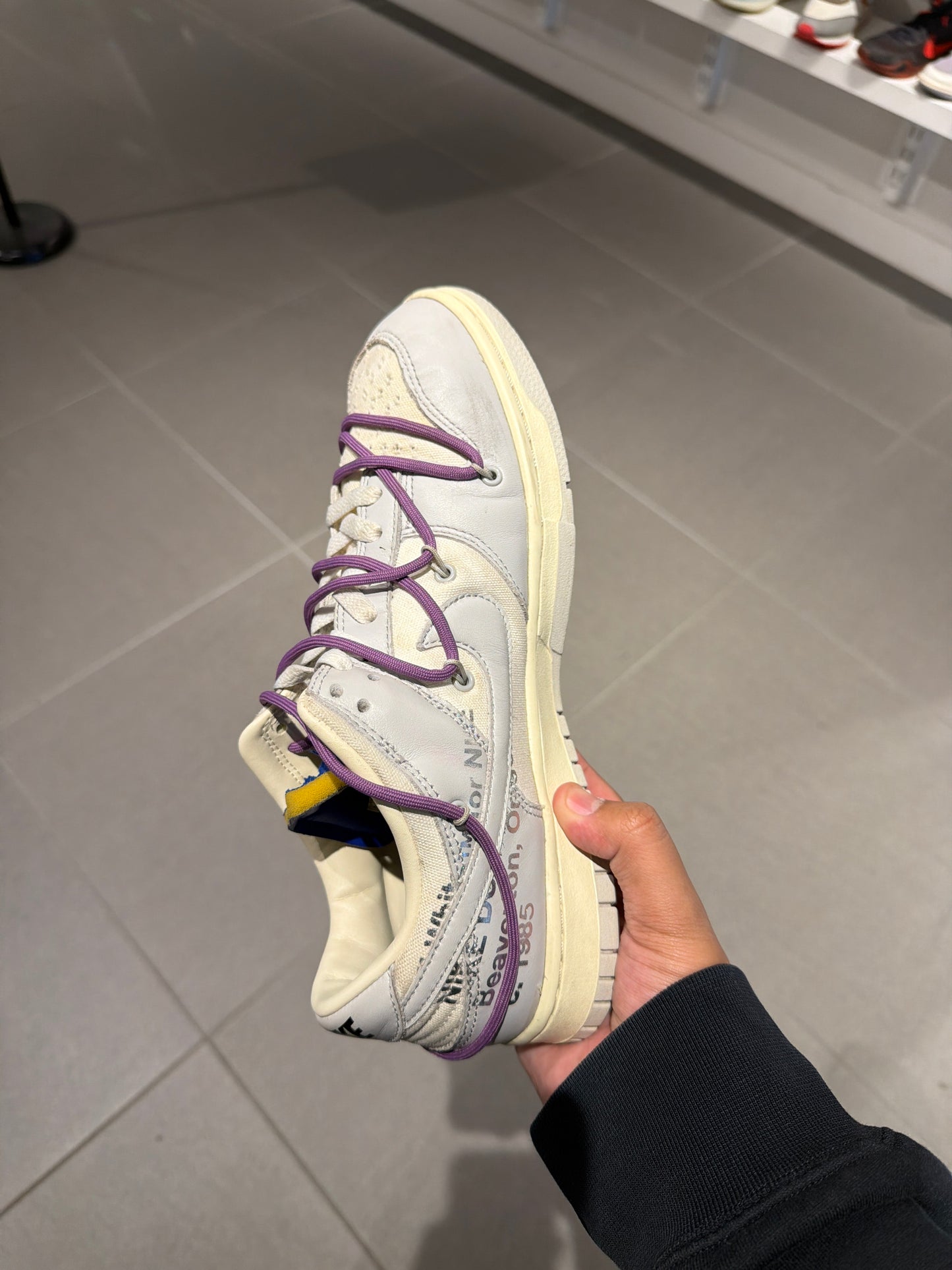 Lot 48 Dunk (Size 10)