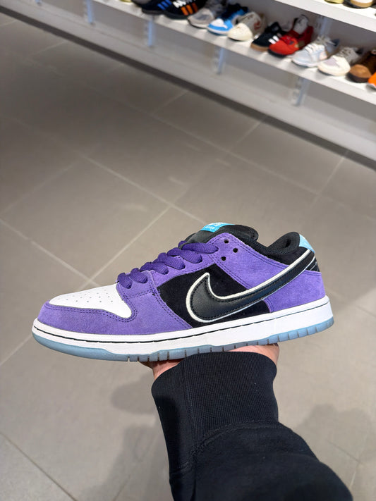 Hayley Wilson SB Dunk (Size 8.5)