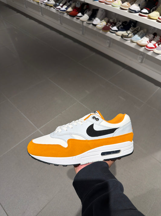 Nike AM1 Monarch (Size 11.5)
