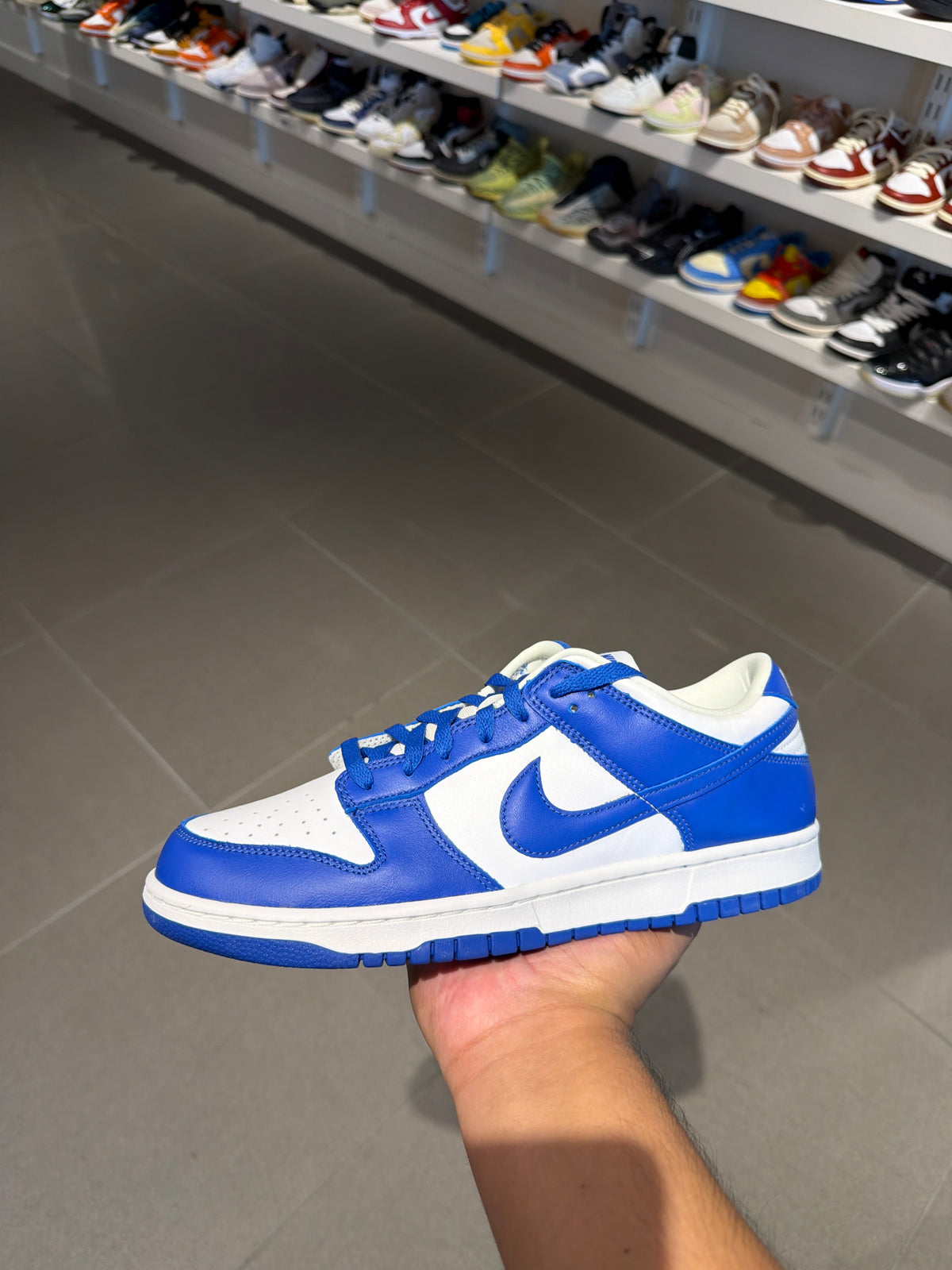 Kentucky Dunk (Size 10.5)