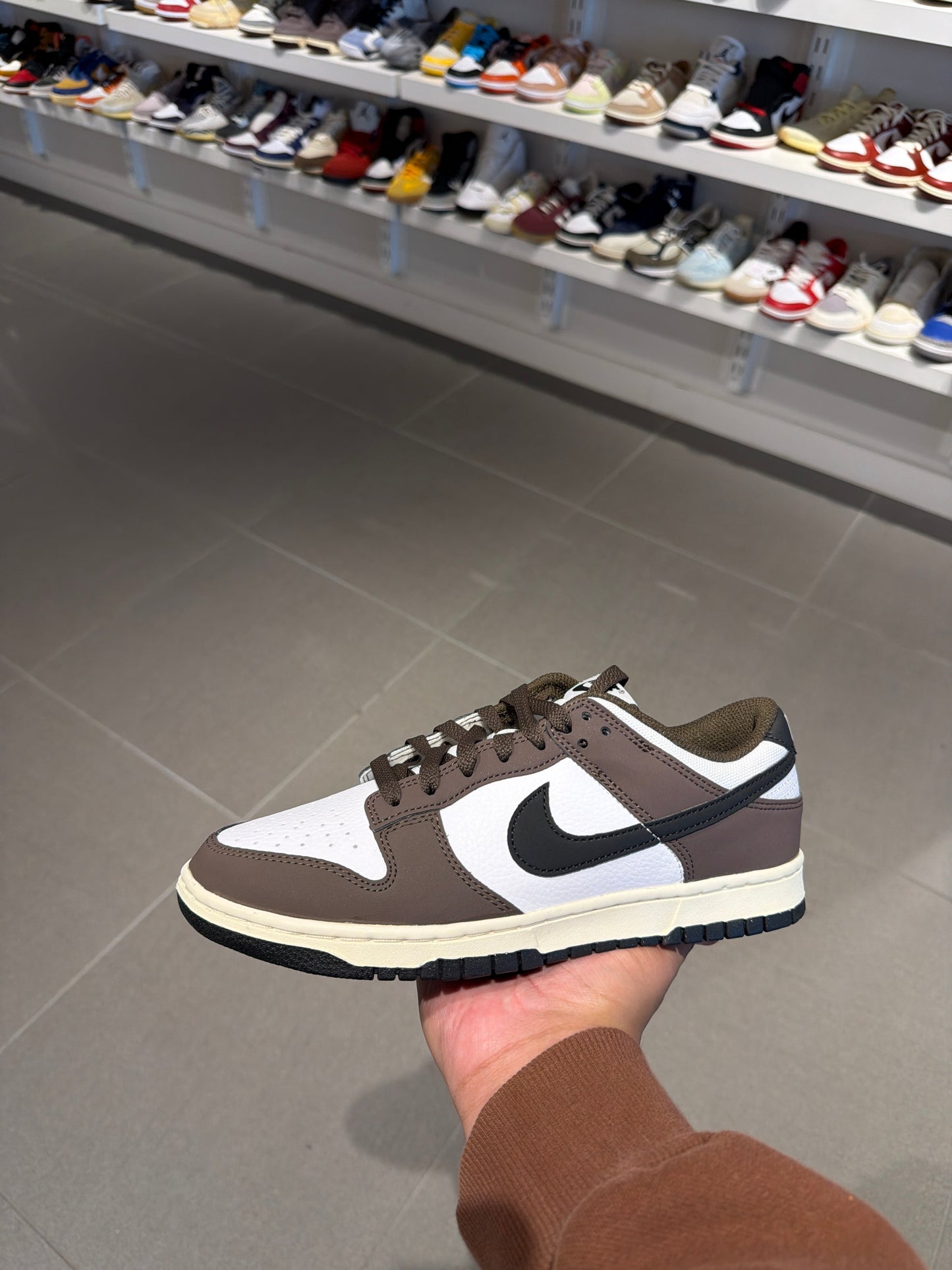 Baroque Brown Dunk (Size 8)