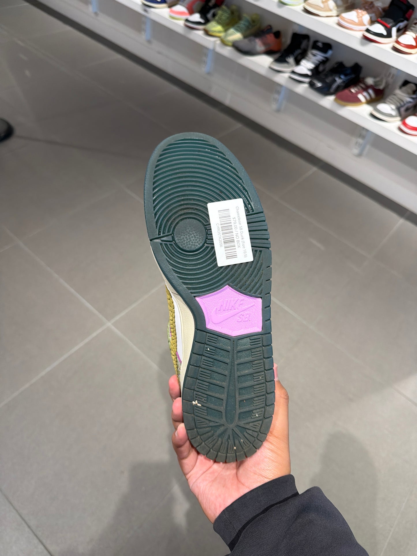 Chameleon SB Dunk (Size 10.5)