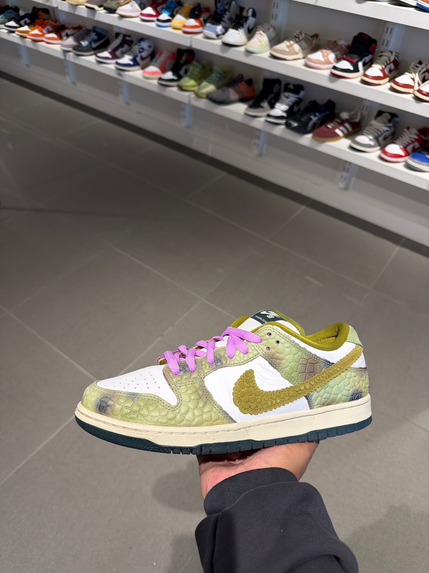 Chameleon SB Dunk (Size 10.5)