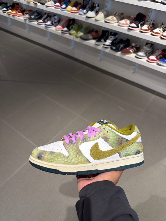 Chameleon SB Dunk (Size 10.5)