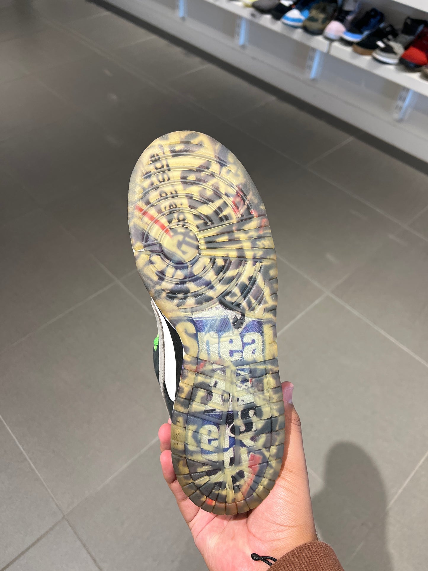 Panda Pigeon SB Dunk (Size 10)