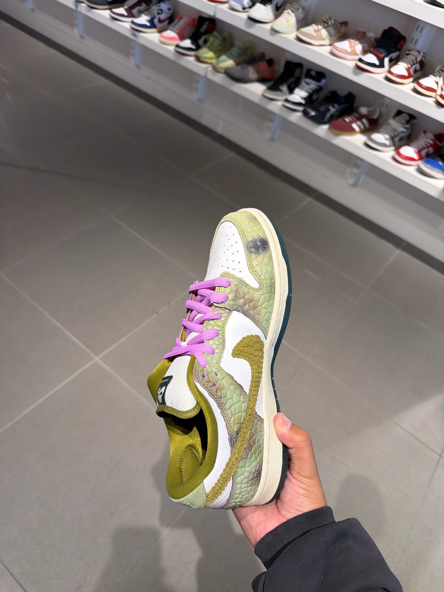 Chameleon SB Dunk (Size 10.5)